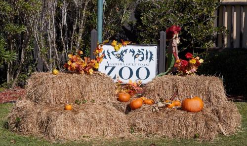 Gulf Coast Zoo all decorated for Autumn